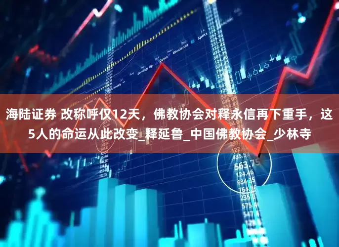 海陆证券 改称呼仅12天，佛教协会对释永信再下重手，这5人的命运从此改变_释延鲁_中国佛教协会_少林寺